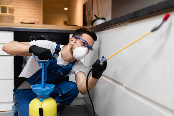 Best Pest Control Near Me  in Clear Lake, SD