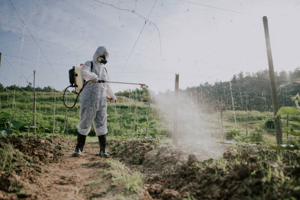 Pest Control Cost in Clear Lake, SD