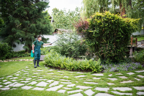 Best Affordable Pest Control Services  in Clear Lake, SD