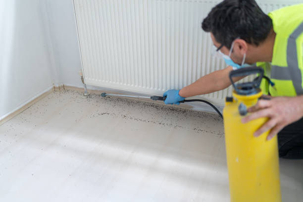 Best Wasp Removal Services  in Clear Lake, SD