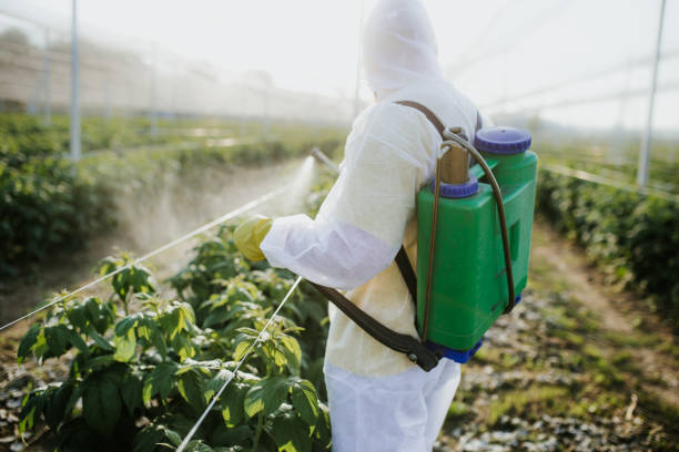 Best Pest Prevention Services  in Clear Lake, SD